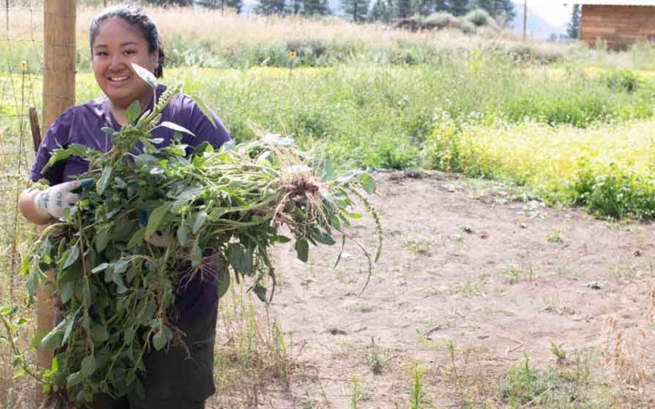 a student carries a bunch of weeds during a service project with outward bound